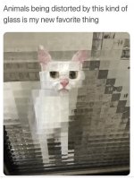 Screenshot_20240502_202119_Chrome.jpg